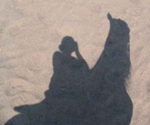 Luke's shadow