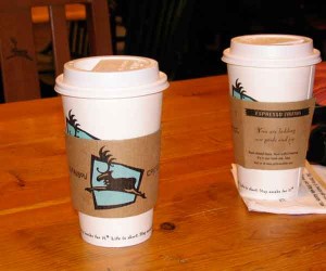 Caribou Coffee