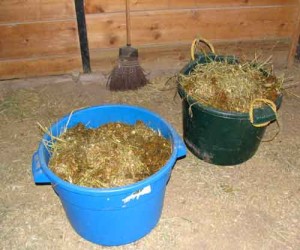 Manure Buckets