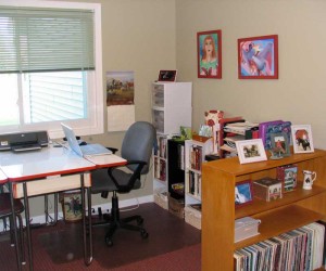 Book Shelves and Cubbies