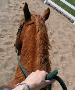 Mary riding Luke