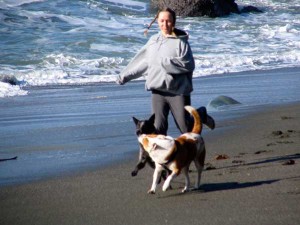 Dogs running on beach