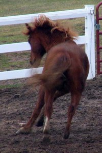 Luke running