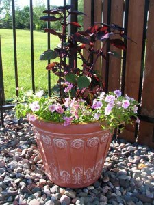 Pool planter