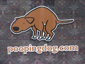 poopingdog.com