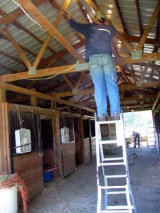 cleaning barn