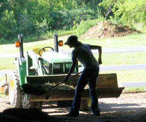 cleaning barn