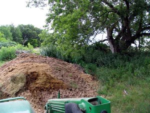 Manure pile