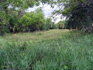 Dry pond