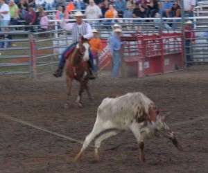 Roping