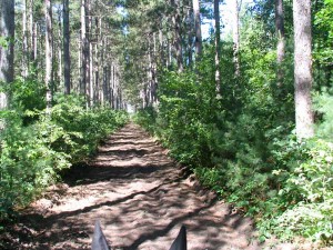 Sand Dunes State Park