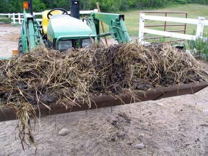 Manure cleanup