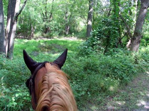 trail riding