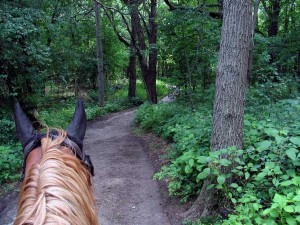 trail riding
