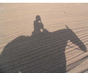 Horse and rider shadow