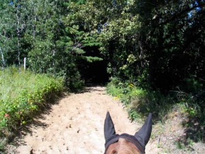 trail riding