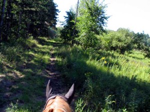 trail riding