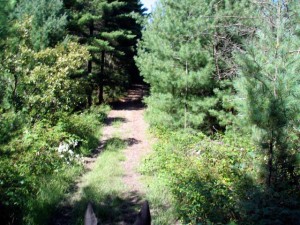 trail riding