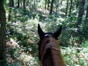 trail riding