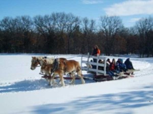 sleigh ride