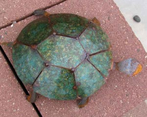 Turtle Sculpture