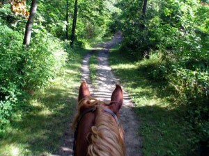 Crow Hassan trail ride