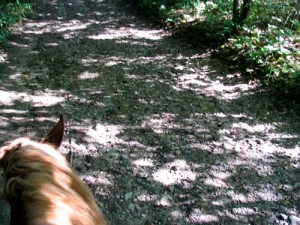 Crow Hassan trail ride