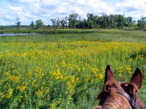 Crow Hassan trail ride