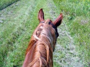 Crow Hassan trail ride