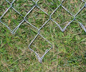 chain link fence