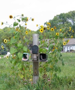 mailbox