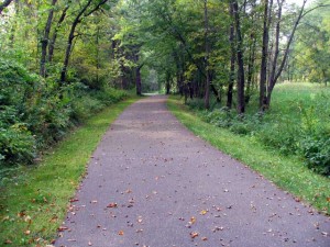 wooded path