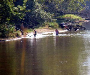 people swimming in river