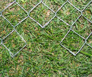 chain link fence