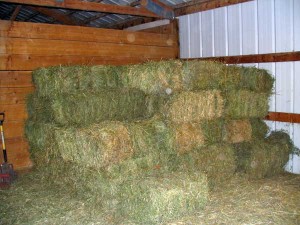 hay bales