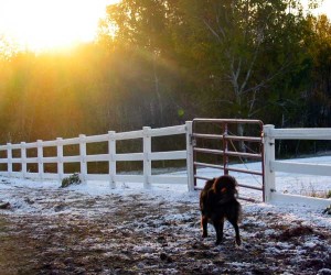 first snow