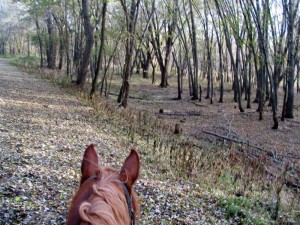 trail ride