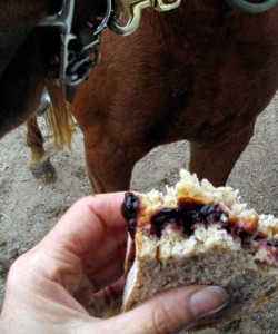 peanut butter and jelly sandwich