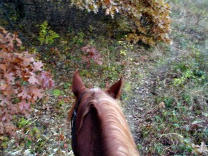 trail riding