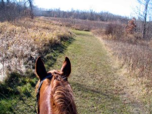 trail ride