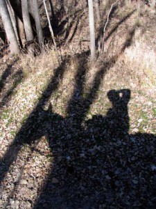 horse and rider shadow