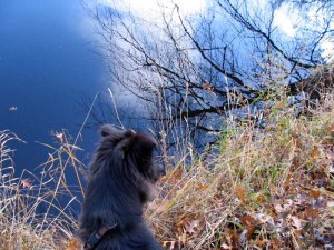 reflections in river