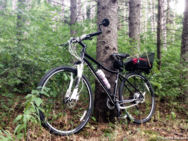 bicycle in the woods