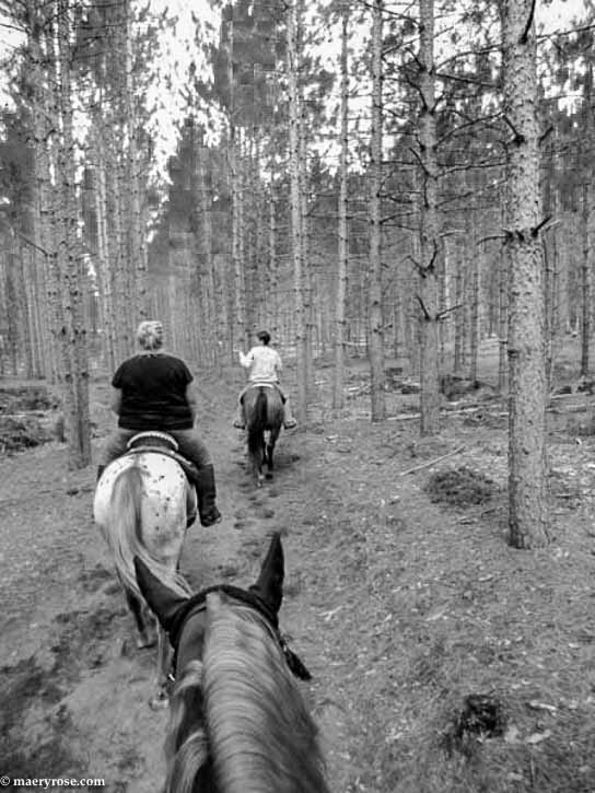 trail riding on horseback