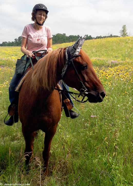 Trail Riding 2012 horse trail riding