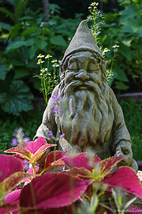 meditating garden gnome