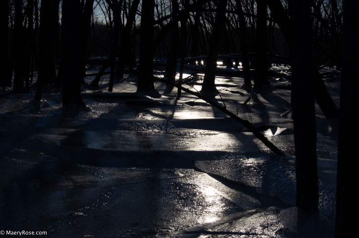 Mississippi River overflowing and creating ice in the woods