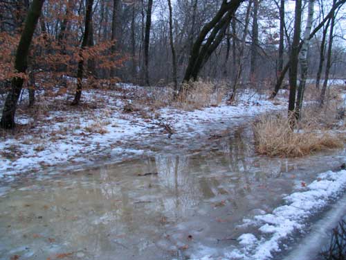 Snowshoeing Blues