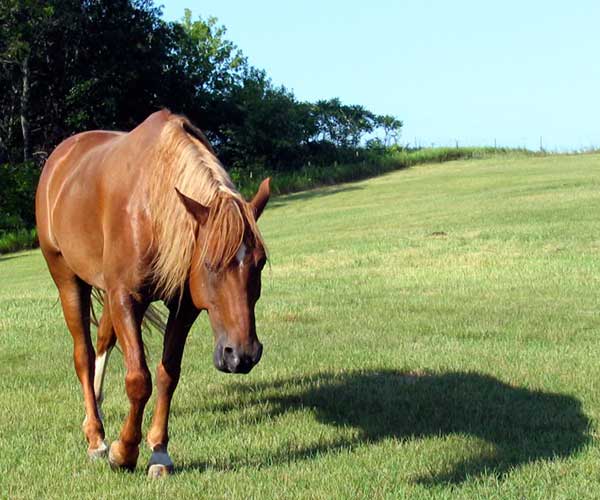 Happy Trails, Despite the Bumps