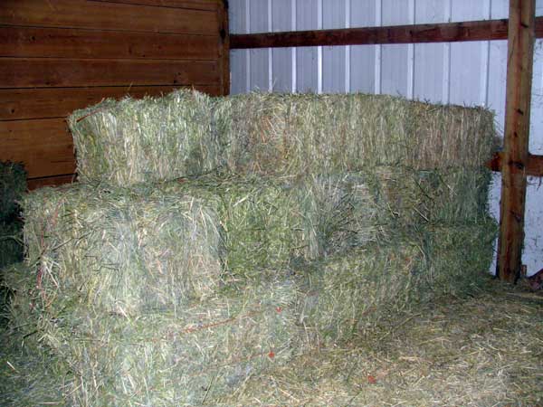 Part of Hay Mission Accomplished